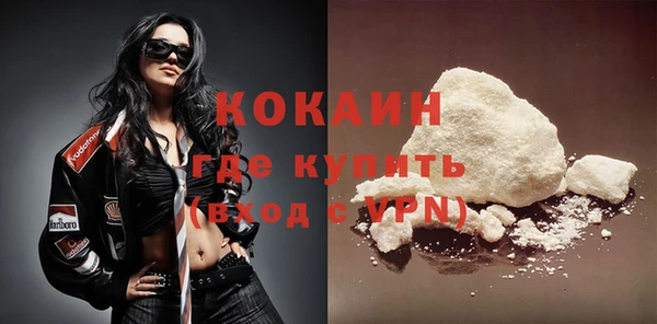 шишки Беломорск