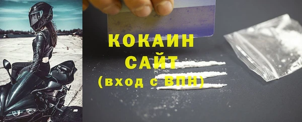 шишки Беломорск