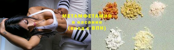 шишки Беломорск