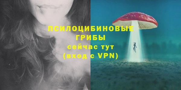 МДПВ Белокуриха