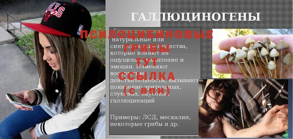 шишки Беломорск