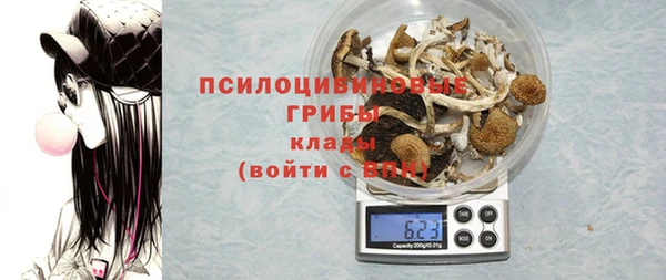 шишки Беломорск