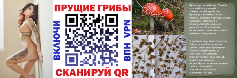 Псилоцибиновые грибы прущие грибы наркошоп Донецк